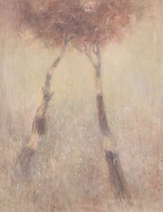 Motivo Vegetal, 90x70, Music Zoran